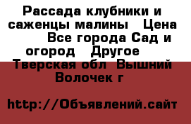Рассада клубники и саженцы малины › Цена ­ 10 - Все города Сад и огород » Другое   . Тверская обл.,Вышний Волочек г.